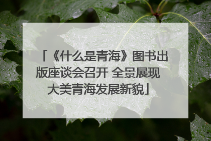 《什么是青海》图书出版座谈会召开 全景展现大美青海发展新貌