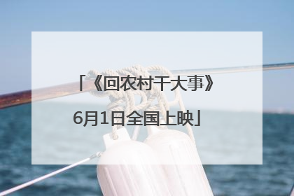 《回农村干大事》6月1日全国上映