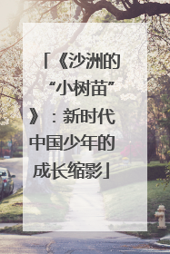 《沙洲的“小树苗”》：新时代中国少年的成长缩影