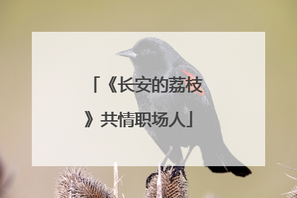 《长安的荔枝》共情职场人