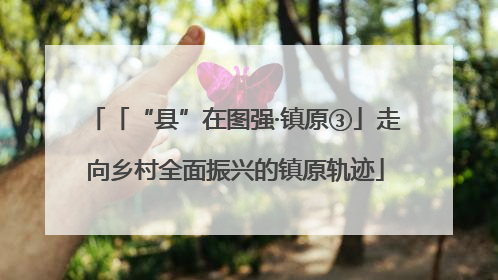 「“县”在图强·镇原③」走向乡村全面振兴的镇原轨迹