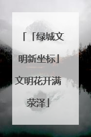 「绿城文明新坐标」文明花开满荥泽