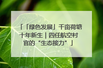 「绿色发展」千亩荷塘 十年新生｜四任航空村官的“生态接力”