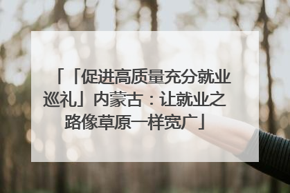 「促进高质量充分就业巡礼」内蒙古：让就业之路像草原一样宽广