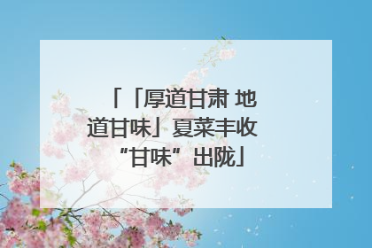 「厚道甘肃 地道甘味」夏菜丰收 “甘味”出陇