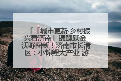 「城市更新·乡村振兴看济南」锦鲤跃金 沃野图新！济南市长清区：小锦鲤大产业 游出农旅新风景
