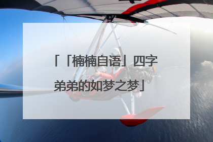 「楠楠自语」四字弟弟的如梦之梦