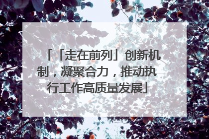 「走在前列」创新机制，凝聚合力，推动执行工作高质量发展