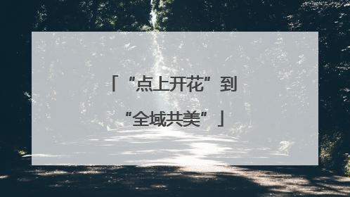 “点上开花”到“全域共美”