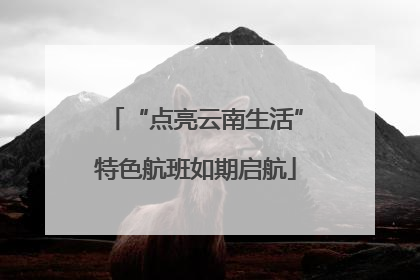 “点亮云南生活”特色航班如期启航