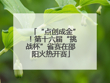 “点创成金”！第十六届“挑战杯”省赛在邵阳火热开赛