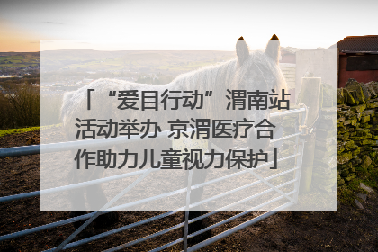 “爱目行动”渭南站活动举办 京渭医疗合作助力儿童视力保护