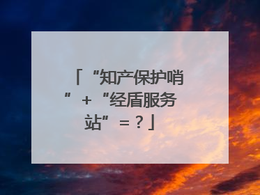 “知产保护哨”+“经盾服务站”=？