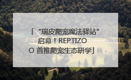 “瑞皮爬宠魔法驿站” 启幕！REPTIZOO 首推爬宠生态研学