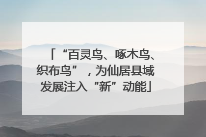 “百灵鸟、啄木鸟、织布鸟”，为仙居县域发展注入“新”动能