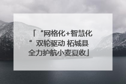 “网格化+智慧化”双轮驱动 柘城县全力护航小麦夏收
