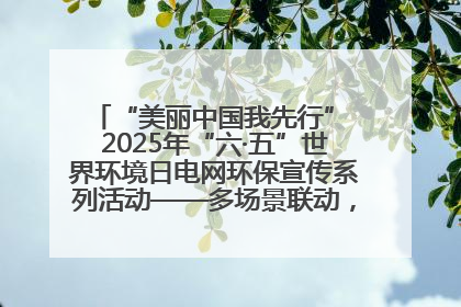 “美丽中国我先行” 2025年“六·五”世界环境日电网环保宣传系列活动——多场景联动，共筑生态发展新图景
