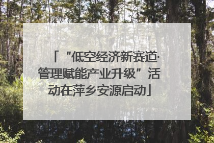 “低空经济新赛道·管理赋能产业升级”活动在萍乡安源启动