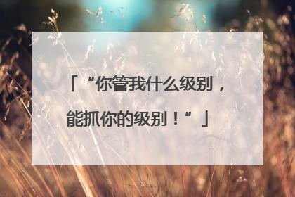 “你管我什么级别，能抓你的级别！”