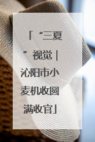 “三夏”视觉｜沁阳市小麦机收圆满收官