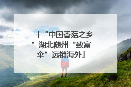 “中国香菇之乡”湖北随州“致富伞”远销海外