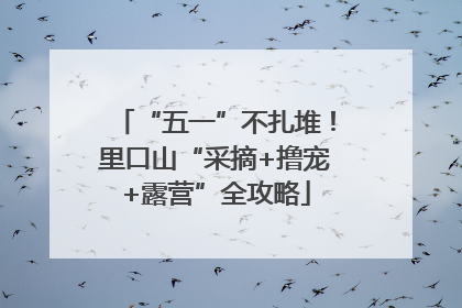 “五一”不扎堆！里口山“采摘+撸宠+露营”全攻略