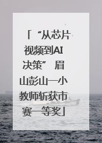 “从芯片视频到AI决策” 眉山彭山一小教师斩获市赛一等奖