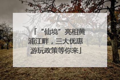 “仙境”亮相黄浦江畔，三大优惠游玩政策等你来