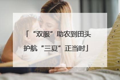 “双服”助农到田头 护航“三夏”正当时