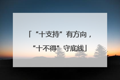 “十支持”有方向，“十不得”守底线