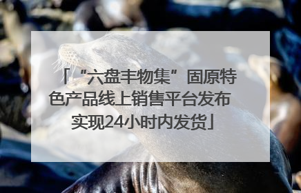 “六盘丰物集”固原特色产品线上销售平台发布 实现24小时内发货