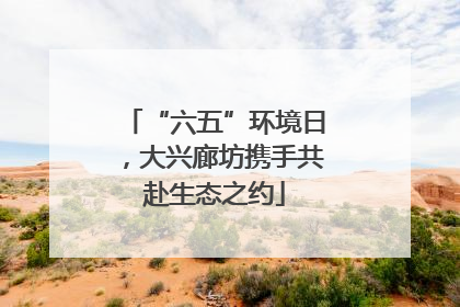 “六五”环境日，大兴廊坊携手共赴生态之约