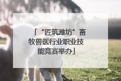 “匠筑潍坊”畜牧兽医行业职业技能竞赛举办