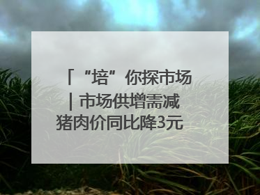 “培”你探市场｜市场供增需减 猪肉价同比降3元 未来40天便宜猪肉敞开吃