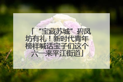 “宝藏苏城”碧凤坊有礼！新时代青年榜样喊话宝子们这个六一来平江街道