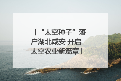 “太空种子”落户湖北咸安 开启太空农业新篇章