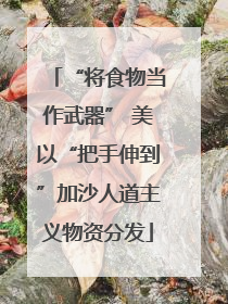 “将食物当作武器” 美以“把手伸到”加沙人道主义物资分发