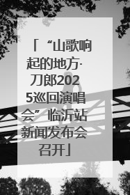“山歌响起的地方·刀郎2025巡回演唱会”临沂站新闻发布会召开