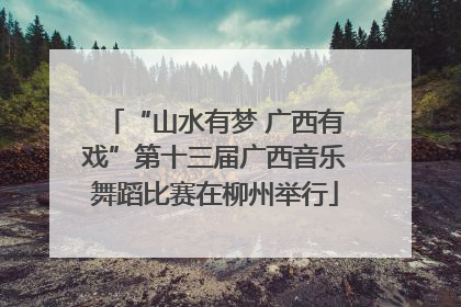 “山水有梦 广西有戏”第十三届广西音乐舞蹈比赛在柳州举行