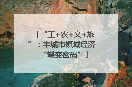 “工+农+文+旅”：丰城市镇域经济“蝶变密码”