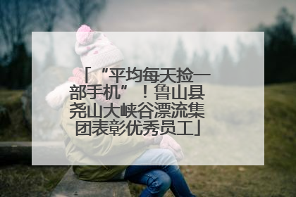 “平均每天捡一部手机”！鲁山县尧山大峡谷漂流集团表彰优秀员工