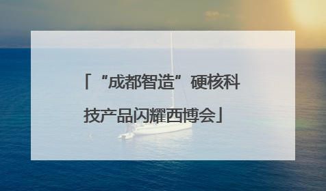 “成都智造”硬核科技产品闪耀西博会