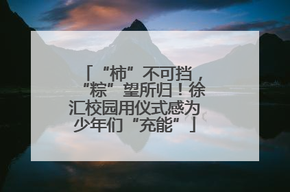 “柿”不可挡，“粽”望所归！徐汇校园用仪式感为少年们“充能”