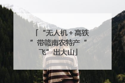 “无人机＋高铁”带赣南农特产“飞”出大山