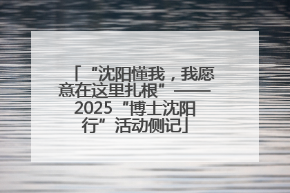 “沈阳懂我，我愿意在这里扎根”——2025“博士沈阳行”活动侧记