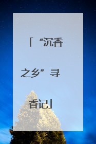 “沉香之乡”寻香记