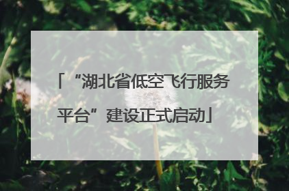 “湖北省低空飞行服务平台”建设正式启动
