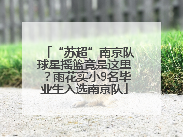 “苏超”南京队球星摇篮竟是这里？雨花实小9名毕业生入选南京队