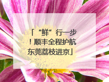 “鲜”行一步！顺丰全程护航东莞荔枝进京