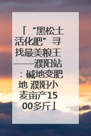 “黑松土活化肥”寻找最美粮王——濮阳站：碱地变肥地 濮阳小麦亩产1500多斤